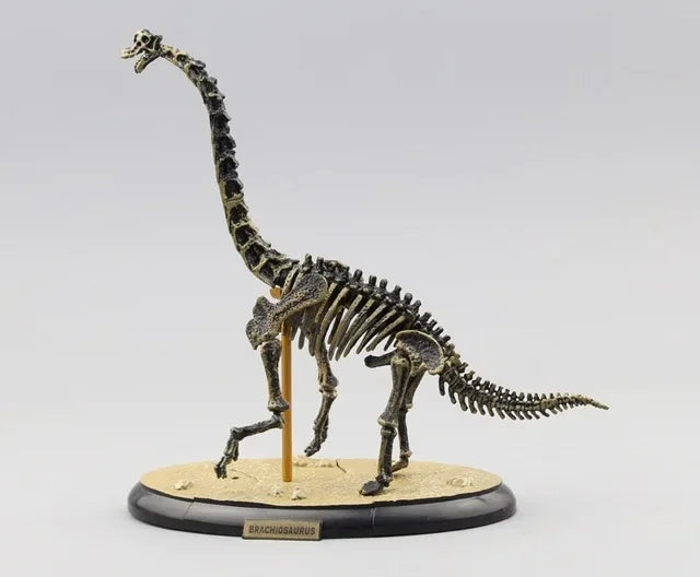dinosaur land - T-Rex 3D Skeleton Puzzle – STEM Fun for Kids & Adults | GadWitch Toys