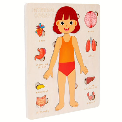 Female Body Parts in English - Human Body Parts Names | Children's Educational | GadWitch Toys