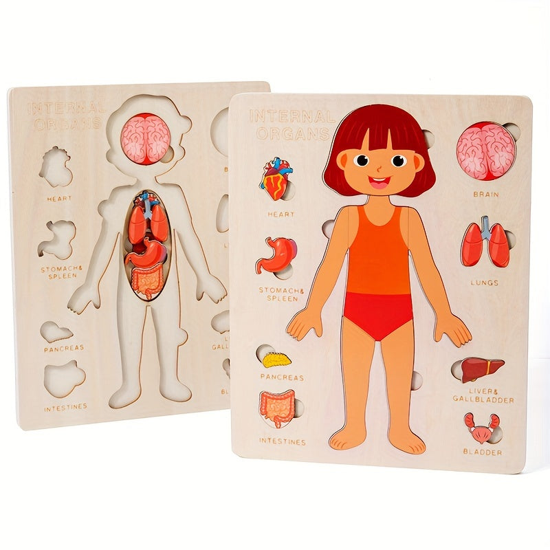 Female Body Parts Name - Human Body Parts Names | Children's Educational | GadWitch Toys