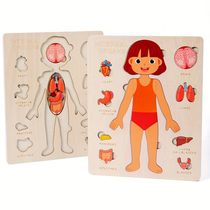 Female Body Parts Name - Human Body Parts Names | Children's Educational | GadWitch Toys