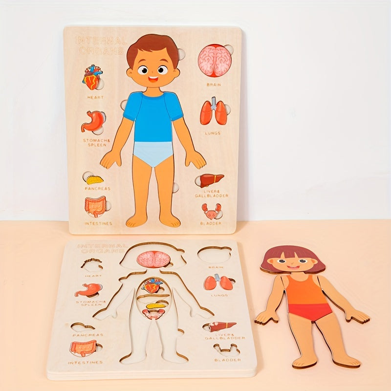 Human Body Parts Names | Children's Educational | GadWitch Toys