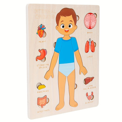 Male body parts in English - Human Body Parts Names | Children's Educational | GadWitch Toys