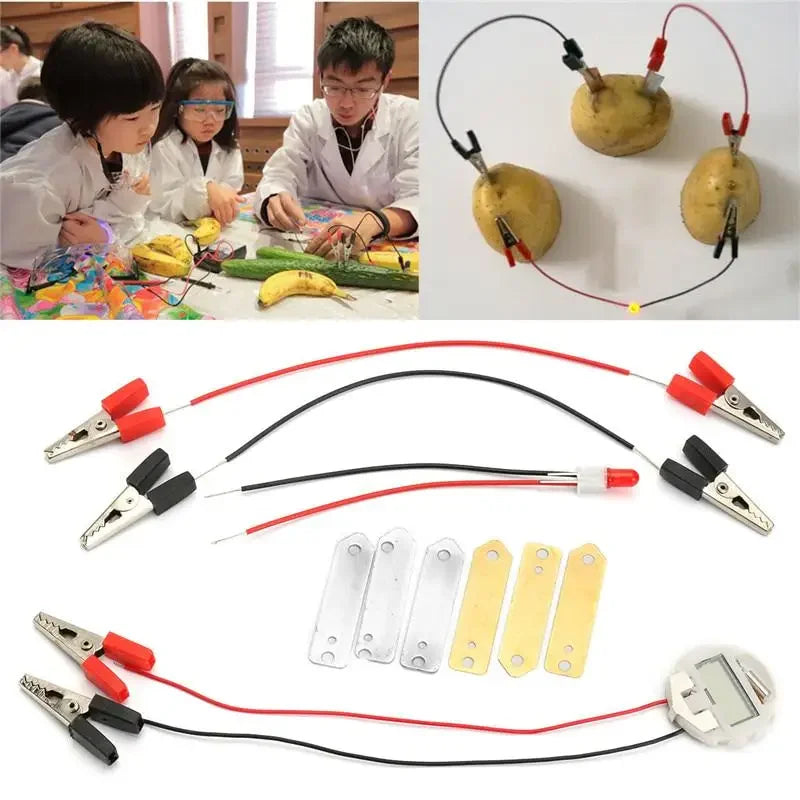 Potato Battery Project – Power a Clock with Produce! | GadWitch Toys