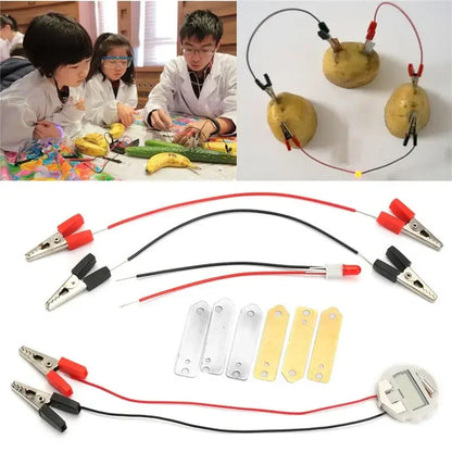 Potato Battery Project – Power a Clock with Produce! | GadWitch Toys