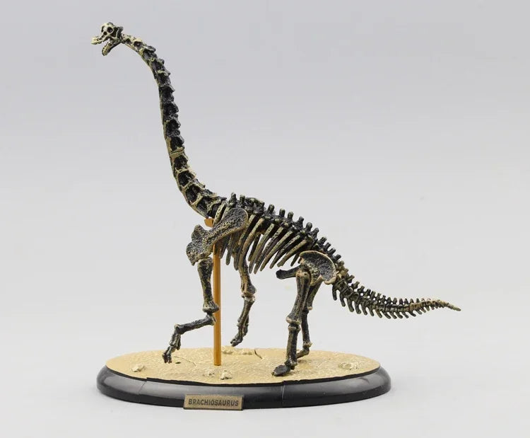 Brachiosaurus Dino - T-Rex 3D Skeleton Puzzle – STEM Fun for Kids & Adults | GadWitch Toys