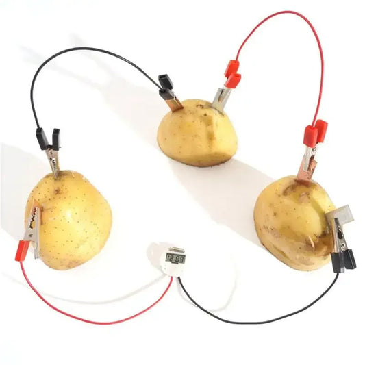 clock Potato Battery Project – Power a Clock with Produce! | GadWitch Toys