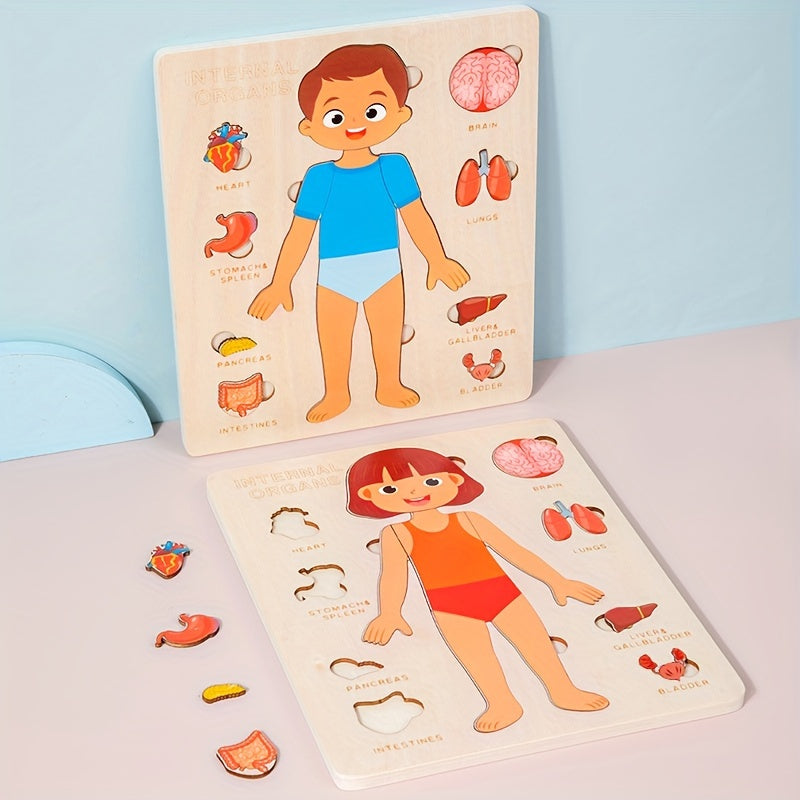 Human Body Parts - Human Body Parts Names | Children's Educational | GadWitch Toys