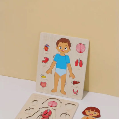 Wooden Human Anatomy Puzzle for Kids