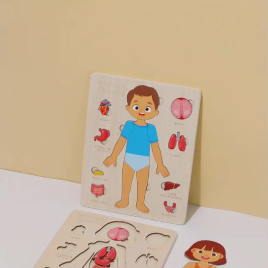 Wooden Human Anatomy Puzzle for Kids